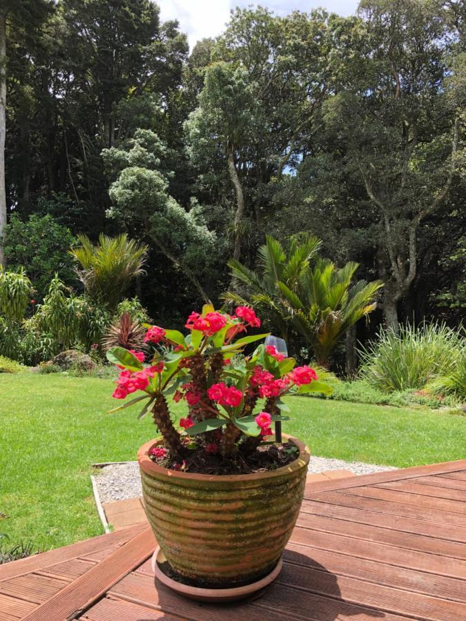N.Z Country Home Whangarei Εξωτερικό φωτογραφία