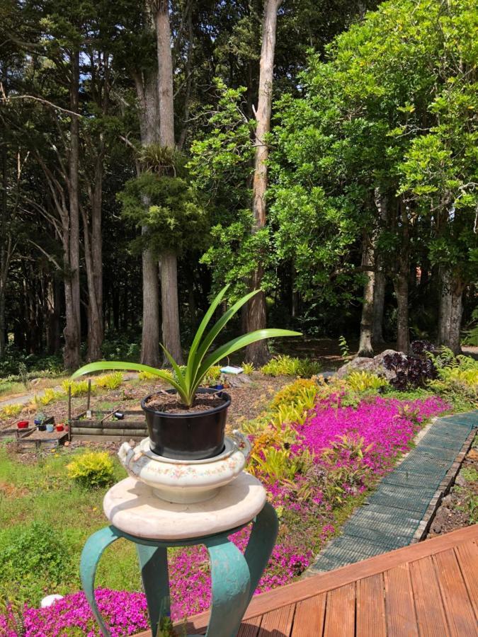 N.Z Country Home Whangarei Εξωτερικό φωτογραφία